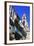 Triunfo Street in the Historic Centre, Vigo, Galicia, Spain, Europe-Richard Cummins-Framed Photographic Print