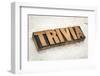 Trivia Word-PixelsAway-Framed Photographic Print