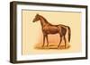 Trocadero-L. Penicaut-Framed Premium Giclee Print