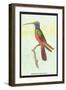 Trochilus Multicolor-Sir William Jardine-Framed Art Print