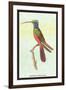 Trochilus Multicolor-Sir William Jardine-Framed Art Print
