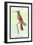 Trochilus Multicolor-Sir William Jardine-Framed Art Print