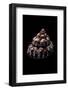 Trochus Ferreirai-Paul Starosta-Framed Photographic Print