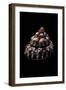 Trochus Ferreirai-Paul Starosta-Framed Photographic Print