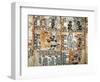 Trocortesian or Madrid Codex-null-Framed Art Print