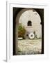 Trogir, Croatia-Russell Young-Framed Photographic Print