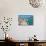 Trogir Waterfront-Matthew Williams-Ellis-Photographic Print displayed on a wall