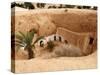 Troglodyte Pit Home, Berber Underground Dwellings, Matmata, Tunisia, North Africa, Africa-Dallas & John Heaton-Stretched Canvas