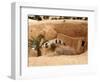 Troglodyte Pit Home, Berber Underground Dwellings, Matmata, Tunisia, North Africa, Africa-Dallas & John Heaton-Framed Photographic Print