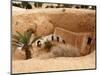 Troglodyte Pit Home, Berber Underground Dwellings, Matmata, Tunisia, North Africa, Africa-Dallas & John Heaton-Mounted Photographic Print