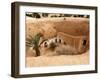 Troglodyte Pit Home, Berber Underground Dwellings, Matmata, Tunisia, North Africa, Africa-Dallas & John Heaton-Framed Photographic Print