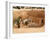 Troglodyte Pit Home, Berber Underground Dwellings, Matmata, Tunisia, North Africa, Africa-Dallas & John Heaton-Framed Photographic Print