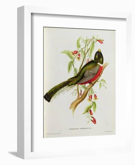 Trogon Ambiguus-John Gould-Framed Giclee Print