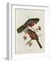 Trogon Collaris-John Gould-Framed Giclee Print