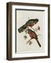 Trogon Collaris-John Gould-Framed Giclee Print