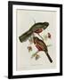 Trogon Collaris-John Gould-Framed Giclee Print