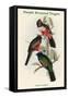 Trogon Variegatus - Purple Breasted Trogon-John Gould-Framed Stretched Canvas