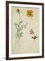 Trois études de fleurs: anémone, pensée, ?; vers 1845-1850-Eugene Delacroix-Framed Giclee Print
