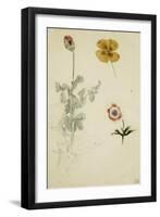 Trois études de fleurs: anémone, pensée, ?; vers 1845-1850-Eugene Delacroix-Framed Giclee Print