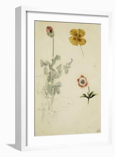 Trois études de fleurs: anémone, pensée, ?; vers 1845-1850-Eugene Delacroix-Framed Giclee Print