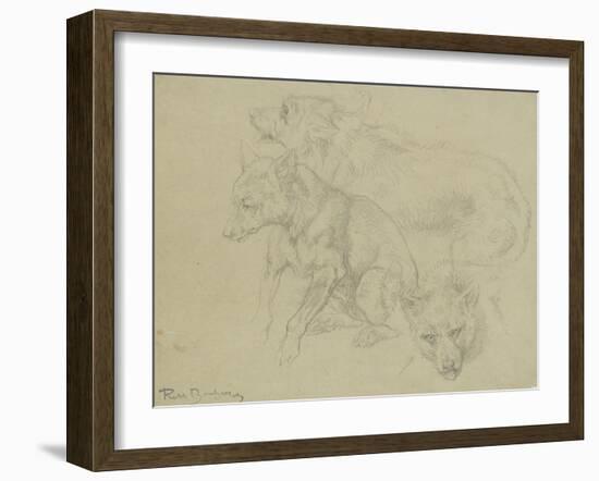 Trois études de loups-Rosa Bonheur-Framed Giclee Print