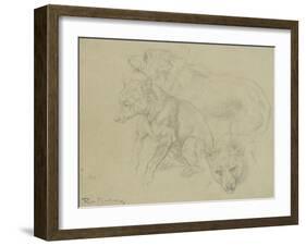 Trois études de loups-Rosa Bonheur-Framed Giclee Print