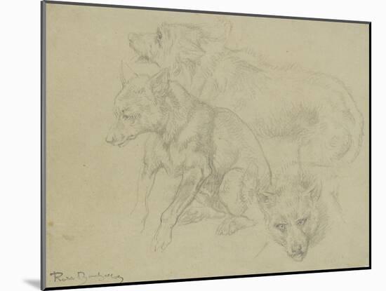 Trois études de loups-Rosa Bonheur-Mounted Giclee Print