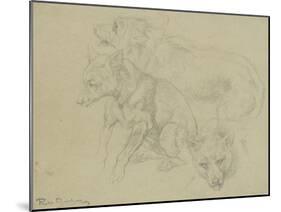 Trois études de loups-Rosa Bonheur-Mounted Giclee Print
