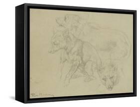 Trois études de loups-Rosa Bonheur-Framed Stretched Canvas