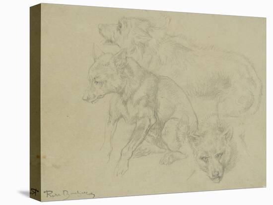 Trois études de loups-Rosa Bonheur-Stretched Canvas