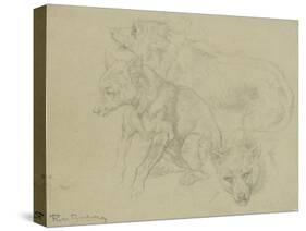 Trois études de loups-Rosa Bonheur-Stretched Canvas