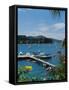 Trois Islets, Martinique-null-Framed Stretched Canvas