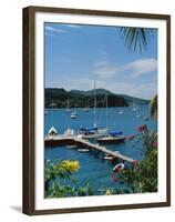 Trois Islets, Martinique-null-Framed Premium Photographic Print