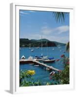 Trois Islets, Martinique-null-Framed Premium Photographic Print