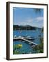 Trois Islets, Martinique-null-Framed Premium Photographic Print