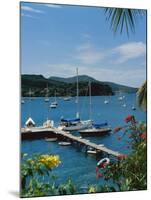 Trois Islets, Martinique-null-Mounted Premium Photographic Print