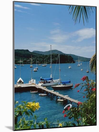 Trois Islets, Martinique-null-Mounted Photographic Print