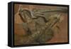 Trois paons-Pieter Boel-Framed Stretched Canvas