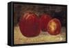 Trois pommes rouges-Gustave Courbet-Framed Stretched Canvas