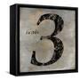 trois-Oliver Jeffries-Framed Stretched Canvas