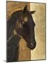 Trojan Horse I Gold-Albena Hristova-Mounted Art Print