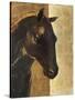 Trojan Horse I Gold-Albena Hristova-Stretched Canvas