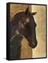 Trojan Horse I Gold-Albena Hristova-Framed Stretched Canvas