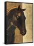 Trojan Horse I Gold-Albena Hristova-Framed Stretched Canvas