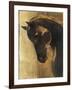 Trojan Horse II Gold-Albena Hristova-Framed Art Print