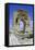Trojans Arch, Maktar, Tunisia-Vivienne Sharp-Framed Stretched Canvas
