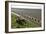 Trolley-akorotaev-Framed Photographic Print