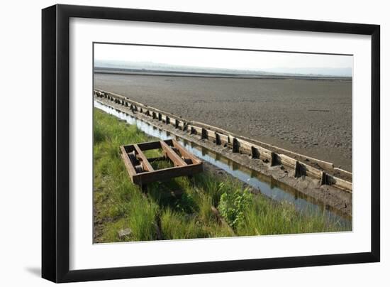 Trolley-akorotaev-Framed Photographic Print