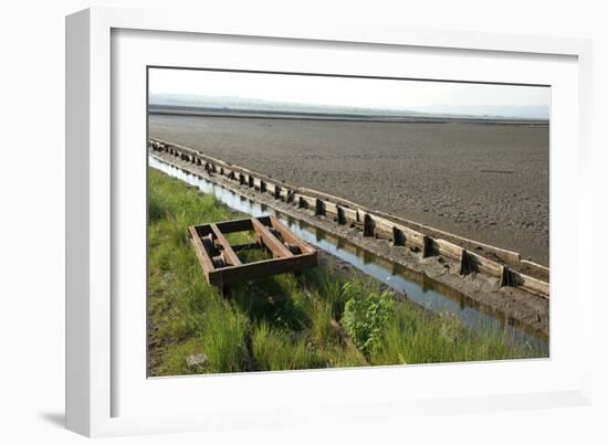 Trolley-akorotaev-Framed Photographic Print