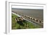 Trolley-akorotaev-Framed Photographic Print